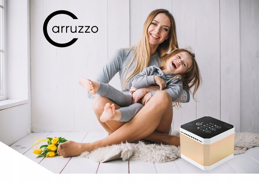 Купить CARRUZZO AIR PURIFIER ION HEPA фильтр: отзывы, фото, характеристики в интерне-магазине Aredi.ru