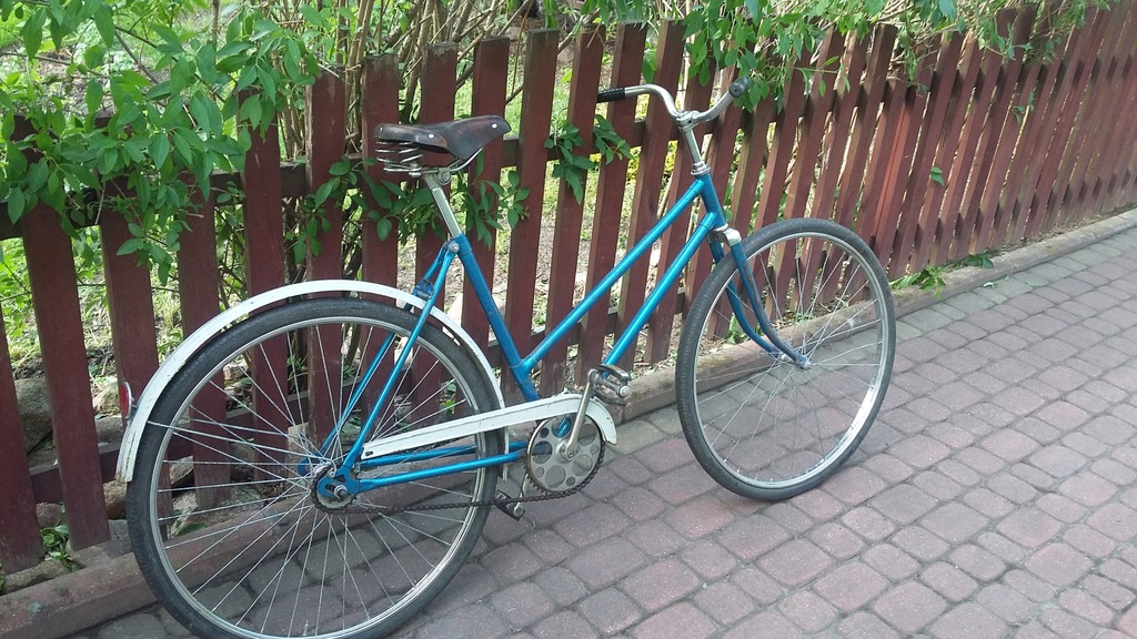 Stary rower rosyjski damka