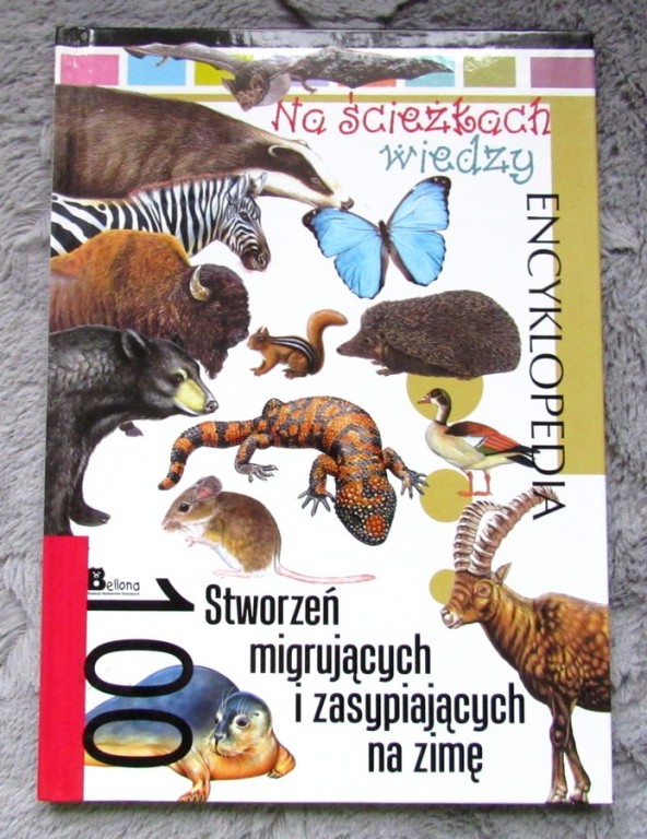 100 STWORZEŃ MIGRUJĄCYCH I ZASYPIAJĄCYCH NA ZIMĘ