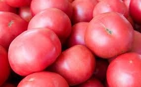 SPÓJNIA Pomidor Malinowy Ożarowski 0,5g