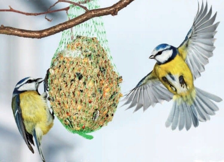 ZIARNO Zimowy pokarm dla ptaków Ptasia pyza 300g