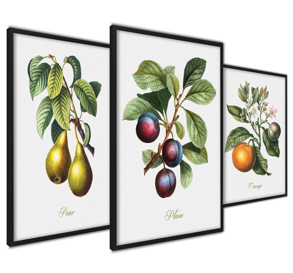Duże Obrazy Plakaty Owoce Vintage do kuchni 50x70