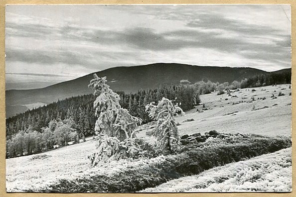 BESKID ŻYWIECKI - Hala Boracza - Widok na Romankę