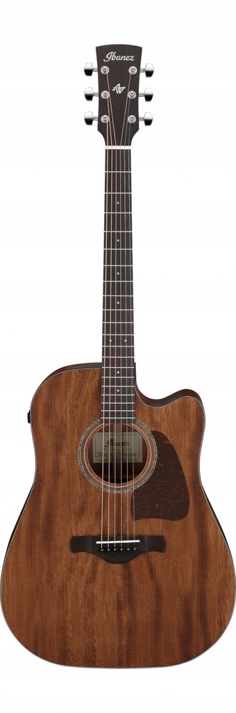 Ibanez AW1040CE-OPN Open Pore Natural gitara