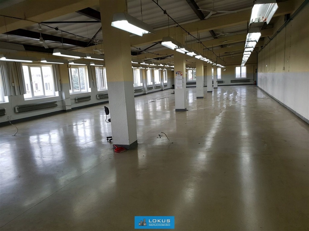 Magazyny i hale, Łódź, Polesie, 282 m²