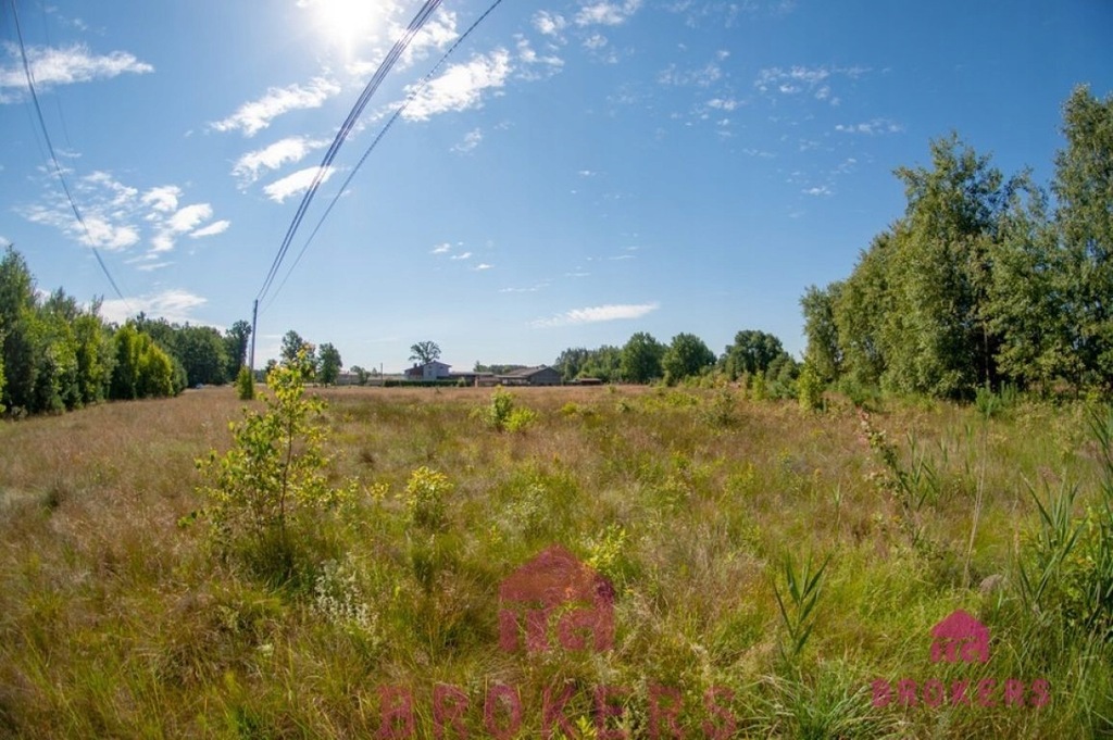 Działka, Woźniki (gm.), 11600 m²