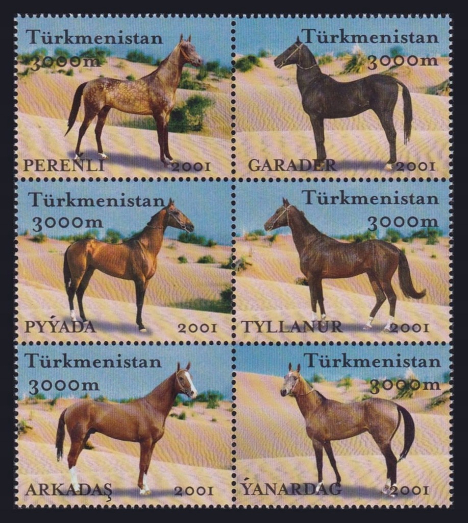 TURKMENISTAN - KONIE - 2001 r. - MNH(**)