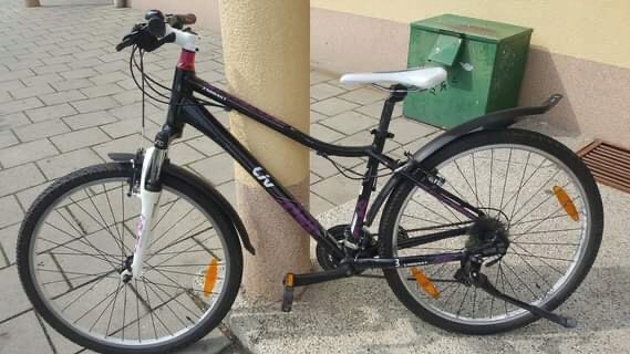 Rower Giant LIV Enchant 2/ r.S/ 26"
