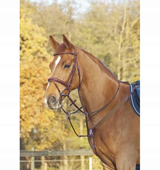 BUSSE NAPIERŚNIK CAMBRIDGE FULL BROWN SALE