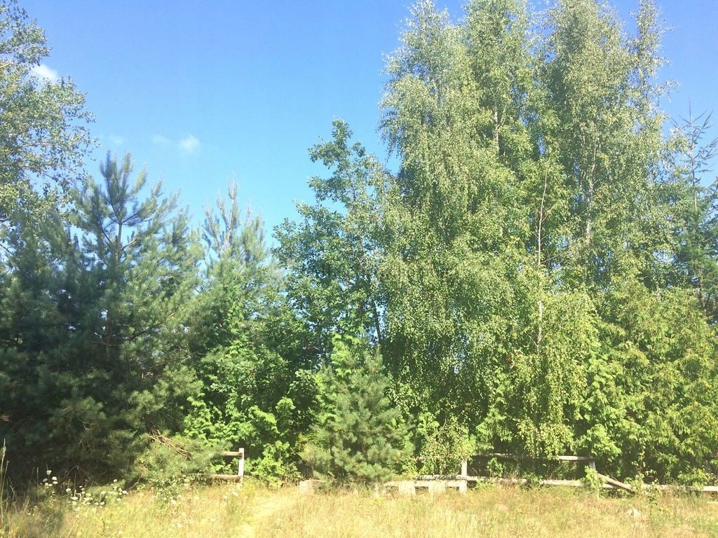 Działka, Minikowo, Lubiewo (gm.), 1037 m²