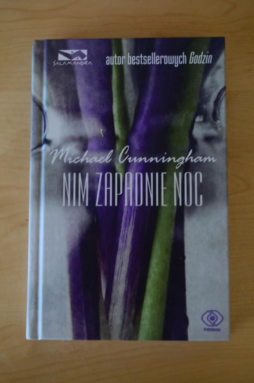 Michael Cunningham - NIM ZAPADNIE NOC
