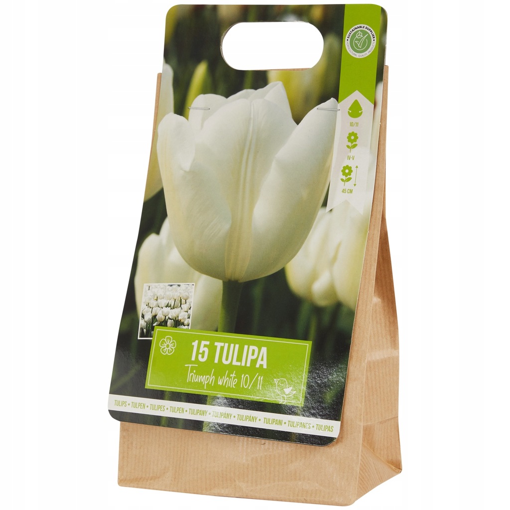 Tulipany Triumph White Białe 15 cebulek kwiatowych