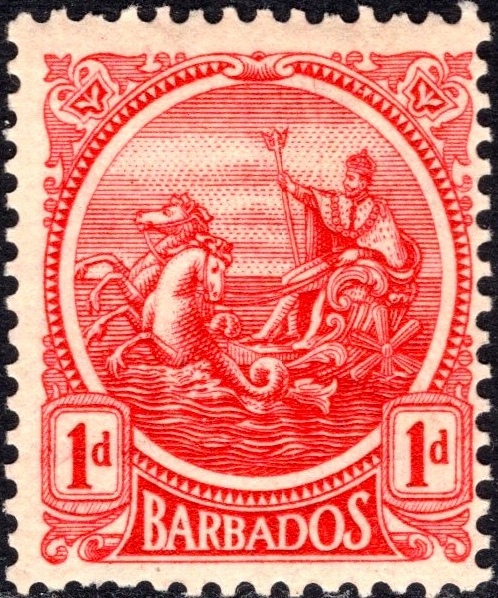 kol.bryt.Barbados sea horse 1 d.czysty *