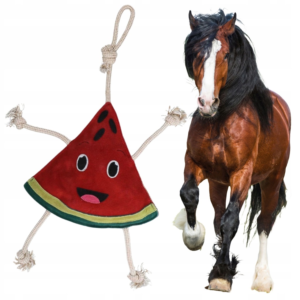 Zabawka dla KONIA do boksu skórzana ze sznurem ARBUZ trzaskająca wzmacniana