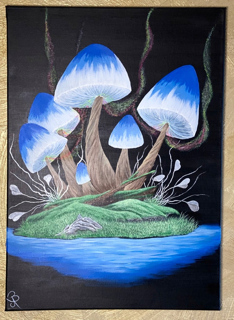 OBRAZ MAGICZNE GRZYBY FLUORESCENCYJNY P. CUBENSIS