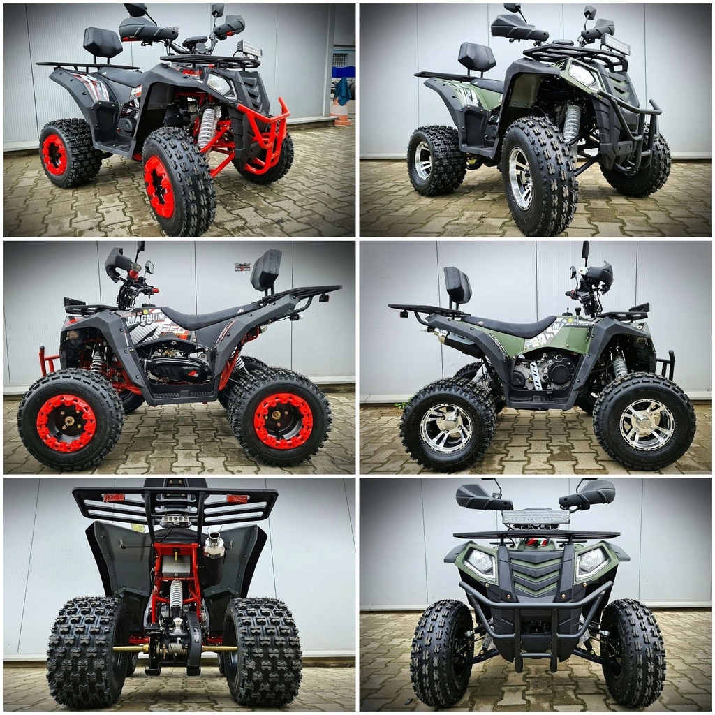 Купить MAGNUM POLARISS 250cc HAK, самый мощный ProMotor: отзывы, фото, характеристики в интерне-магазине Aredi.ru