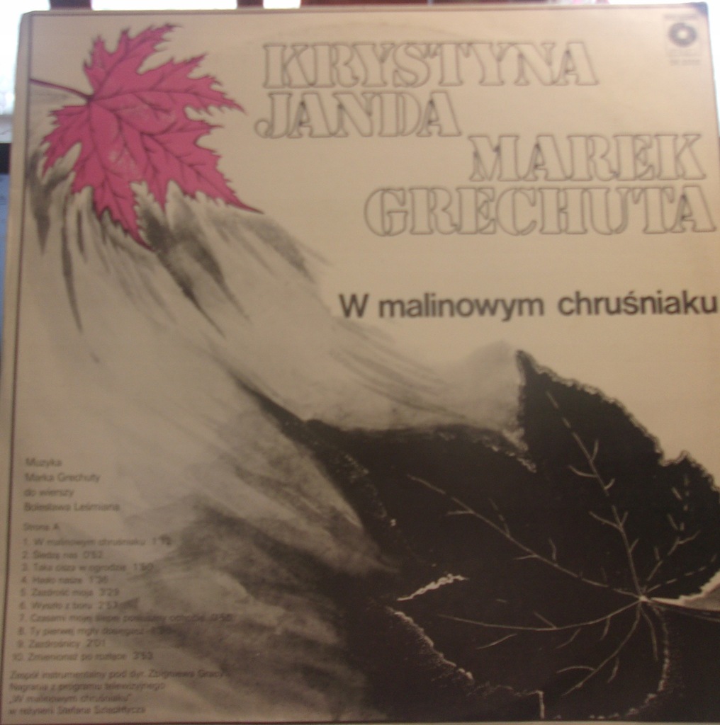 W malinowym chruśniaku Janda, Grechuta Winyl - ładny stan zachowania