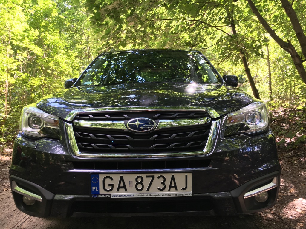 Купить SUBARU FORESTER - ИСПОЛЬЗУЕТСЯ ЖЕНЩИНОЙ: отзывы, фото, характеристики в интерне-магазине Aredi.ru