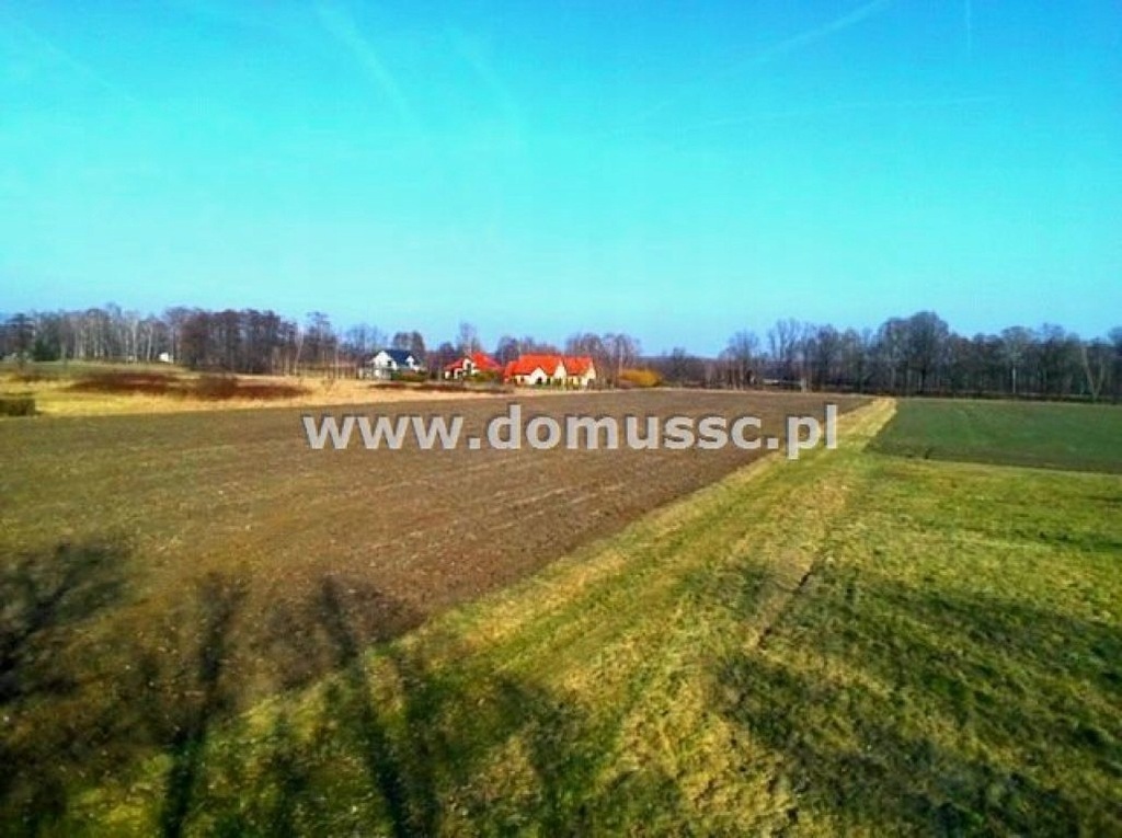 Działka, Zaborze, Oświęcim (gm.), 17044 m²