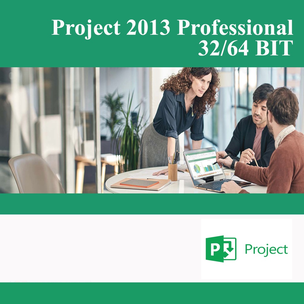 Microsoft Project 2013 Professional