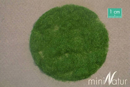 MiniNatur: Trawa elektrostatyczna - Letnia zieleń