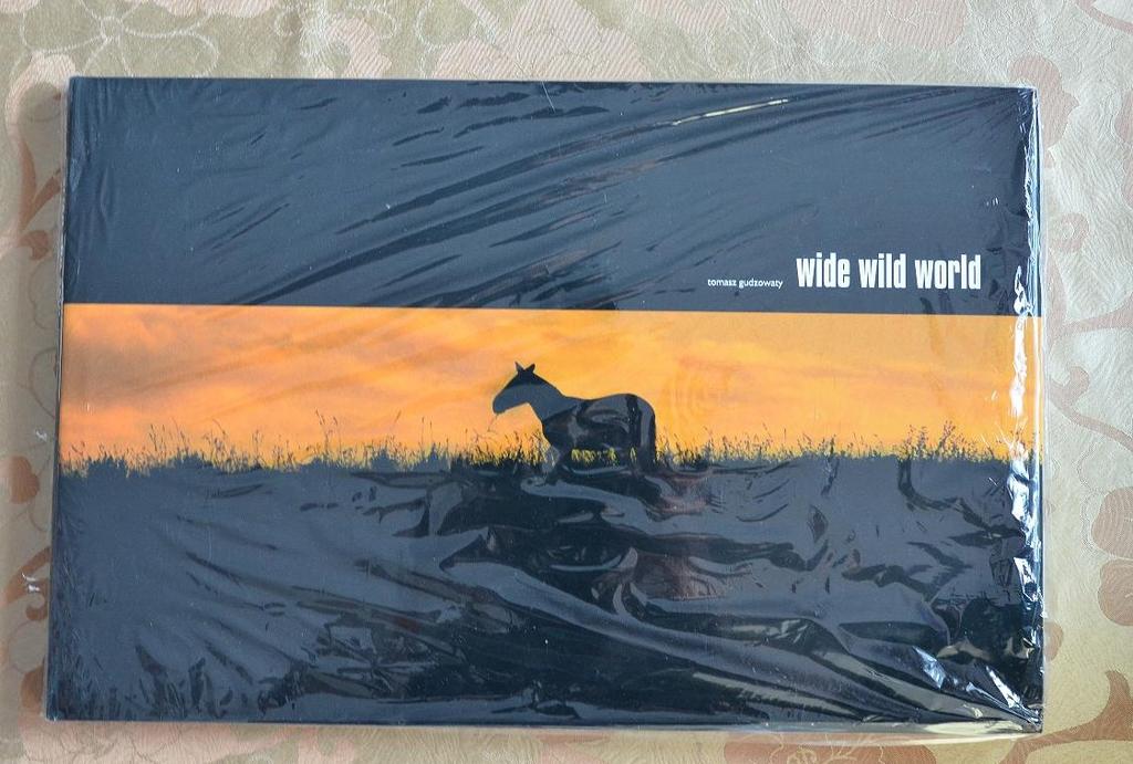 Album "Wide wild world" - Toruń!