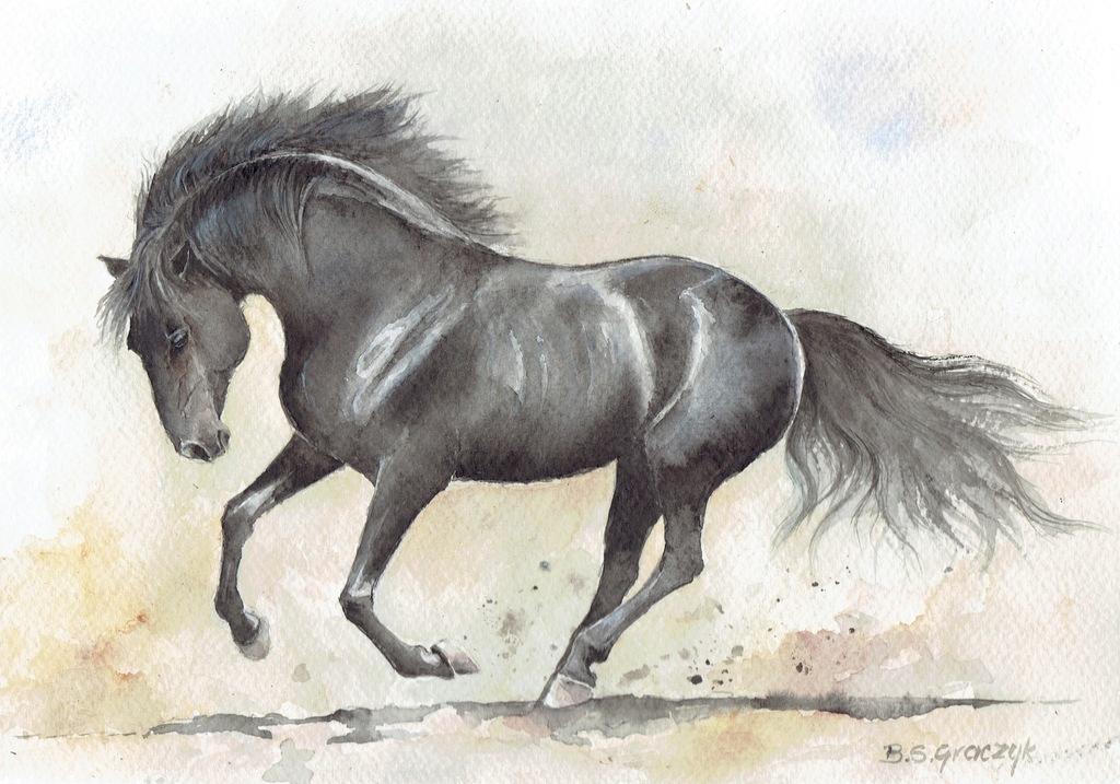 Koń w galopie - akwarela z passe - partout