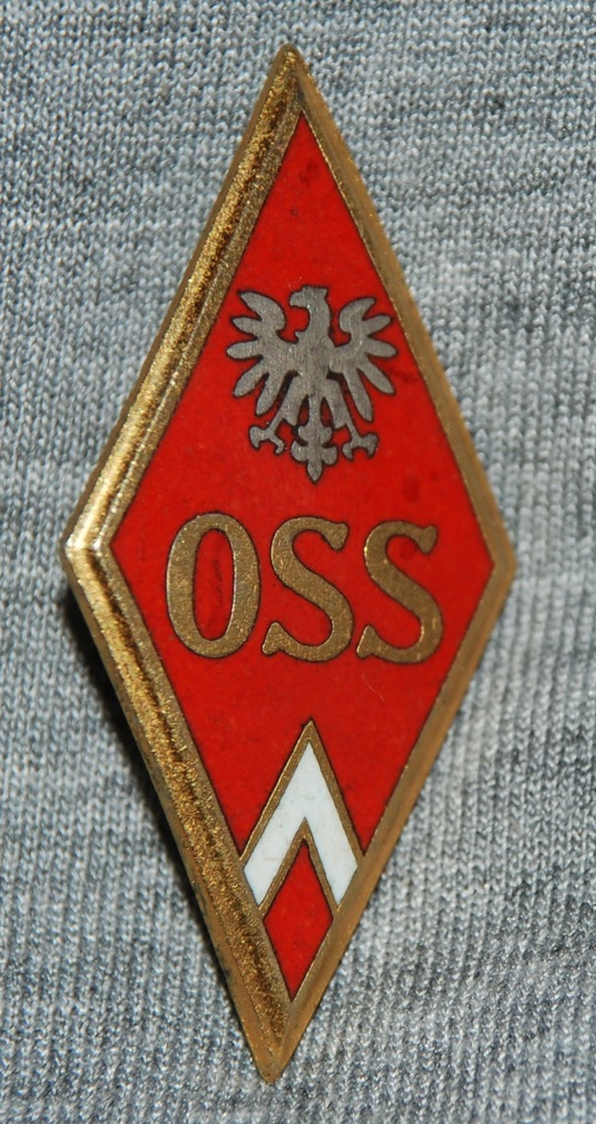 Odznaka absolwentka Szkoły Oficerskiej OSS Piła