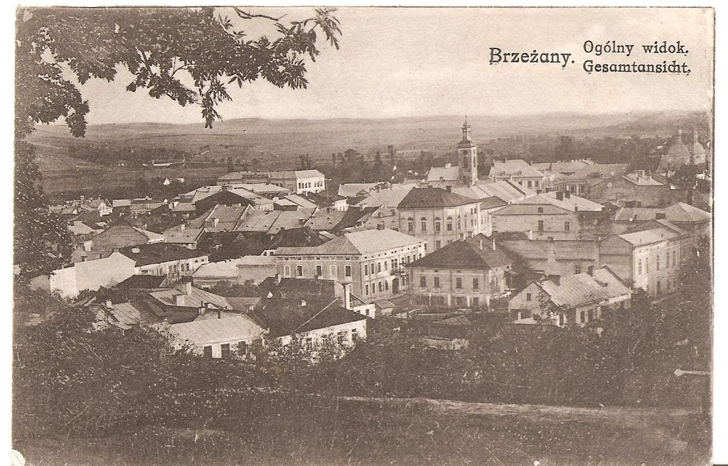 BRZEŻANY -OGÓLNY WIDOK -feldpost -1918 rok