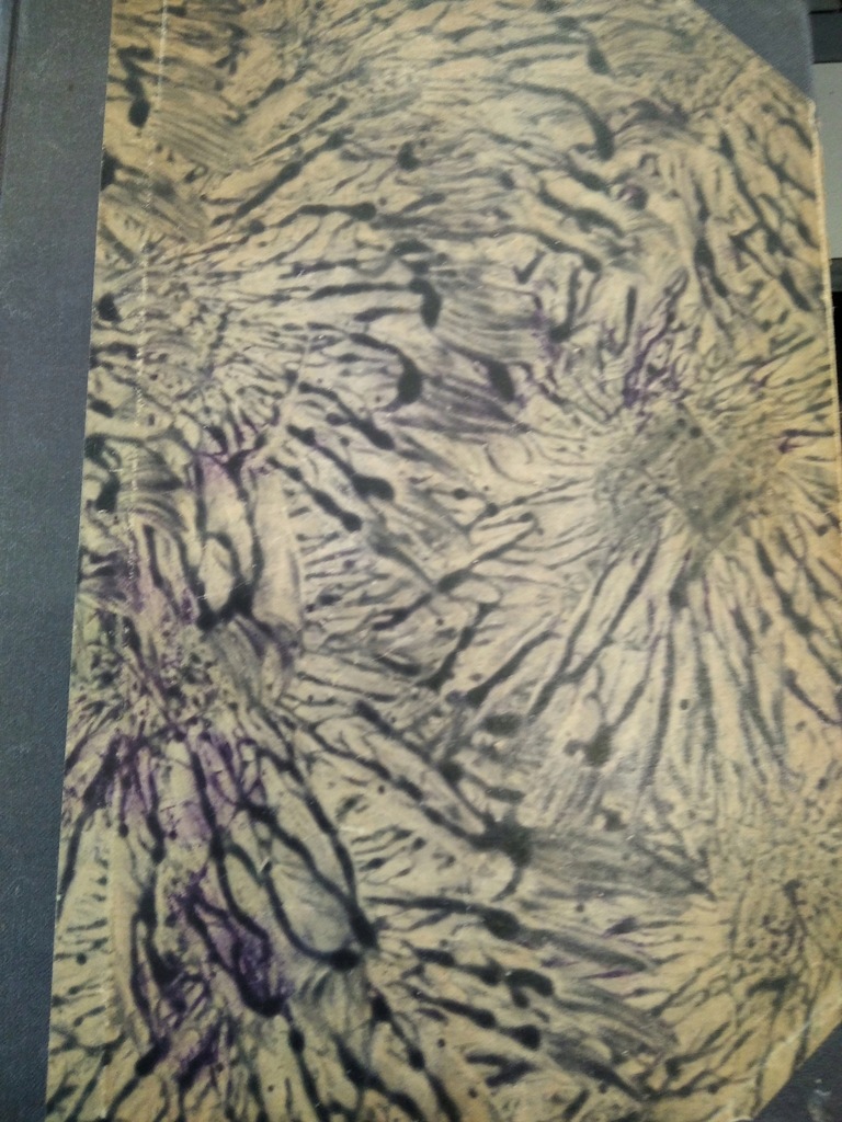 Kaden POD BELWEDEREM 1936 3 drzeworyty