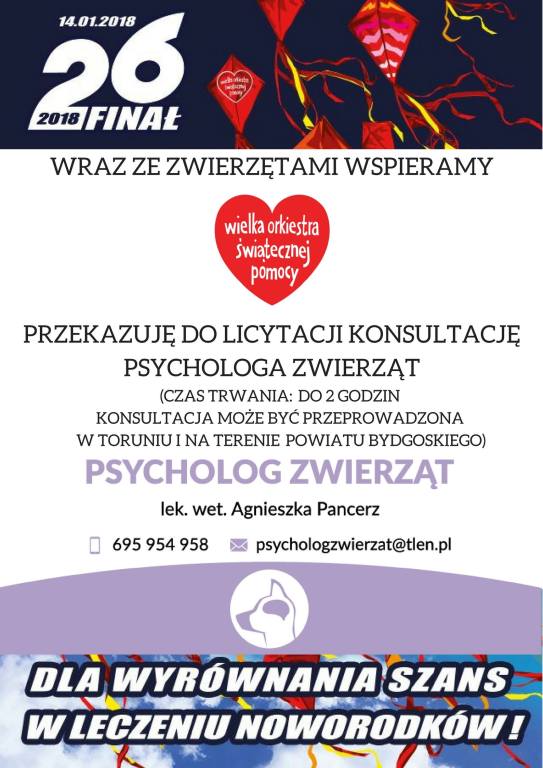 Konsultacja psychologa zwierząt- TORUŃ