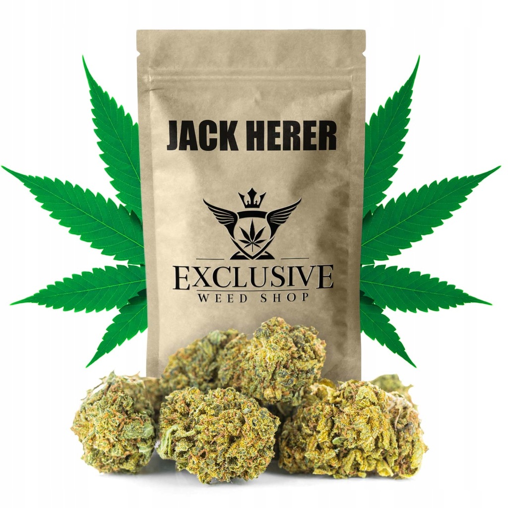 Susz konopny Jack Herer CBD Exclusive Weed 1000g