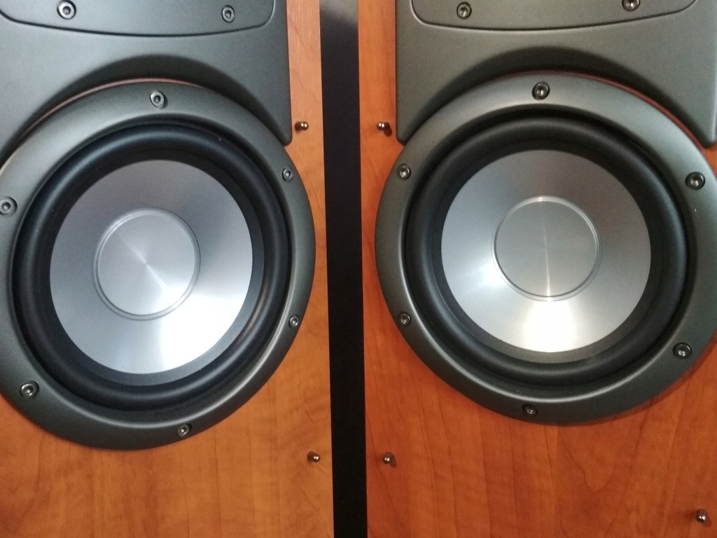 Nowe - KLIPSCH SYNERGY F1 - ADNE POD OG WKI - 9090722206 