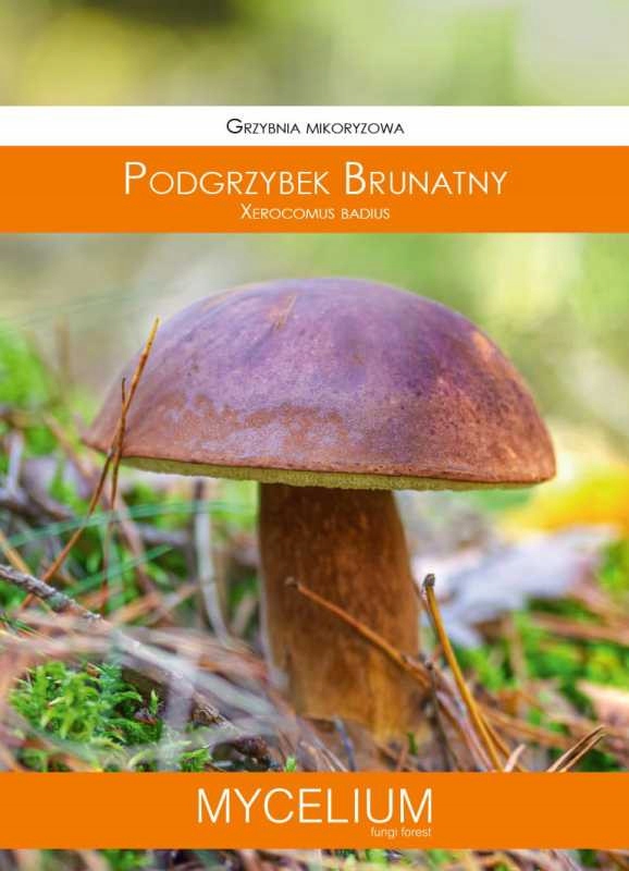 Grzybnia mikoryzowa podgrzybek brunatny 60ml MYCELIUM