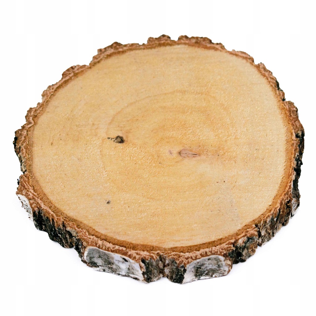 Plaster drewna o śr. 15-20 cm, gr. 2 cm - 1 szt suchy nieszlifowany