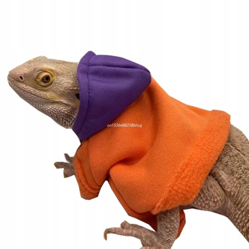 Odzież jaszczurki dla brodatego smoka Gecko odzież