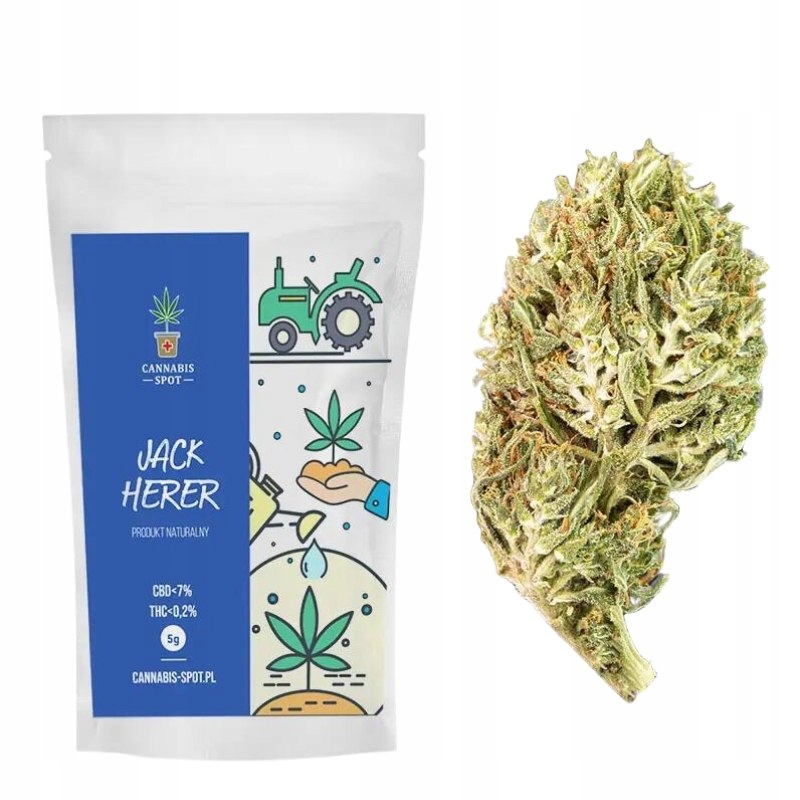 Susz Konopny CBD Jack Herer - CBD