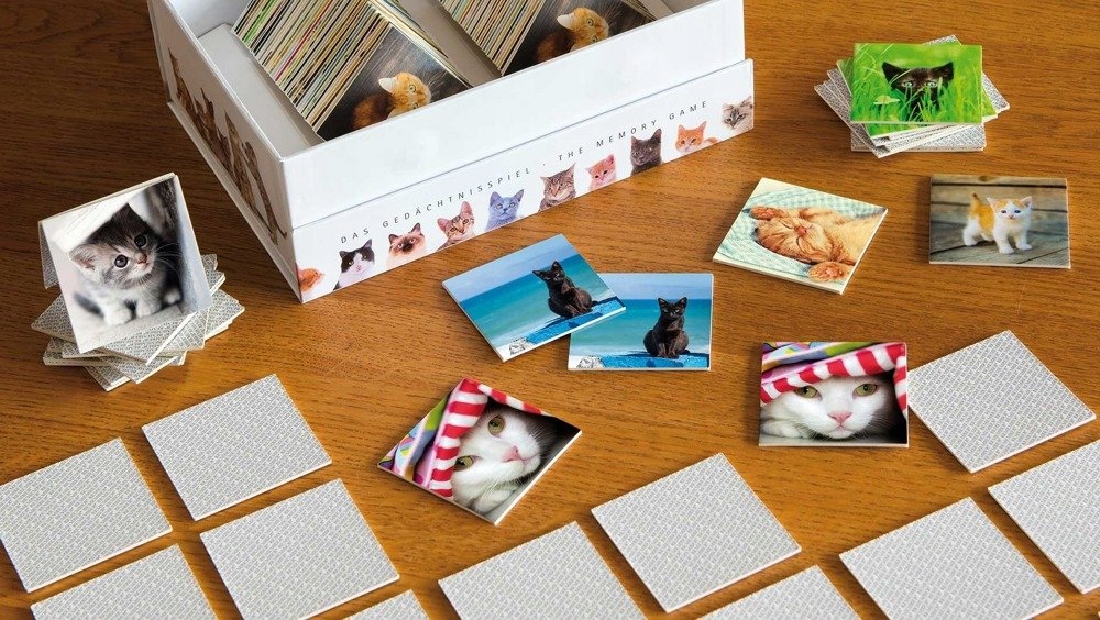 Купить РАЗВИВАЮЩАЯ ИГРА НА ПАМЯТЬ КОШКИ 44 пары карточек: отзывы, фото, характеристики в интерне-магазине Aredi.ru