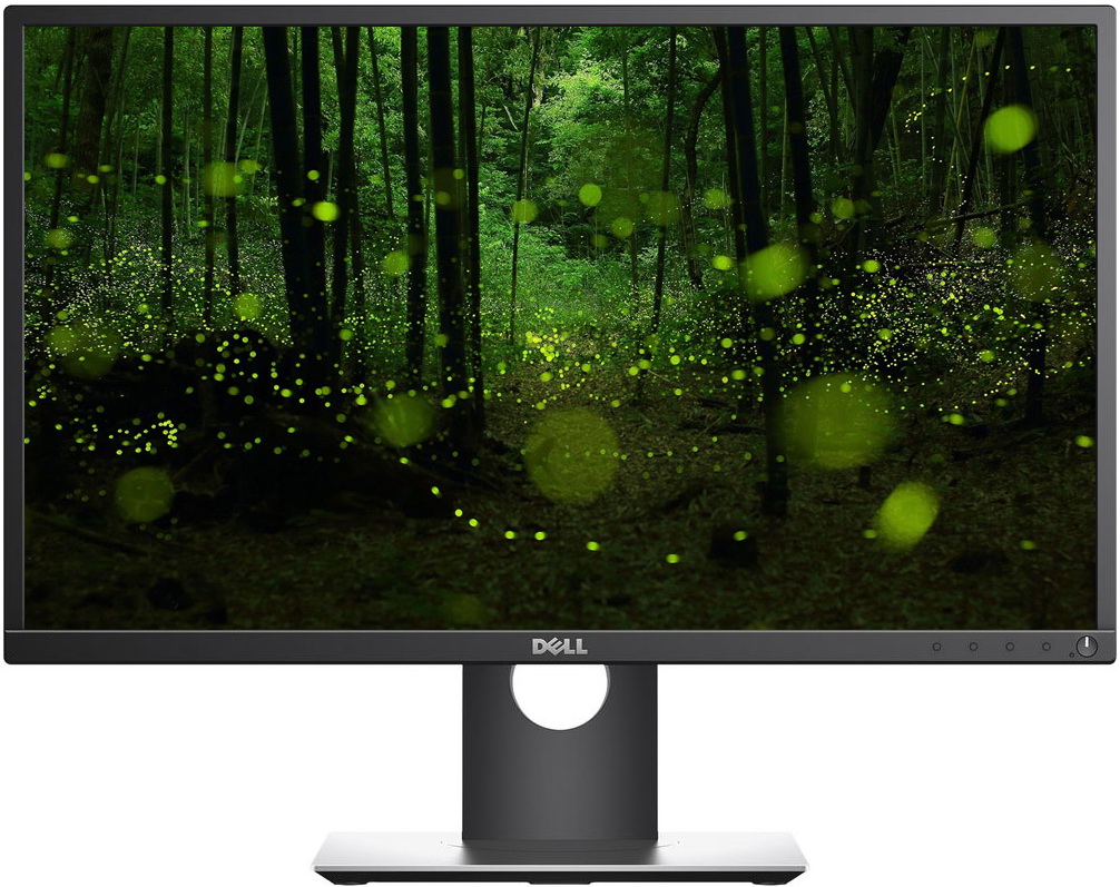 Dell P2417H 24" monitor