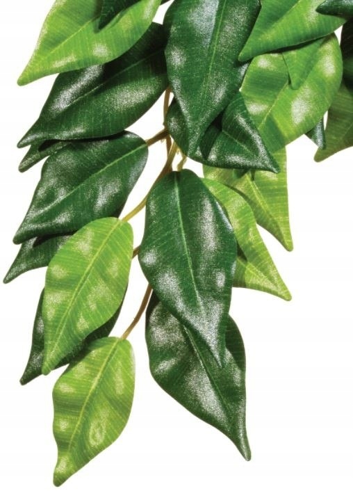 EXO TERRA roślina wisząca Fikus 55cm