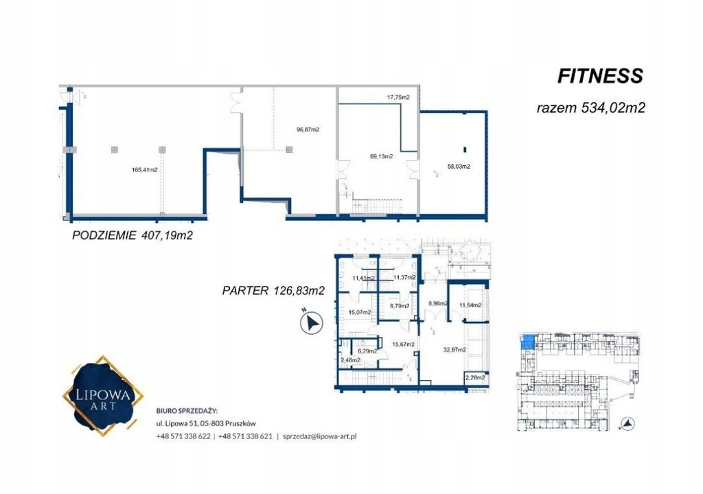 Lokal Pruszków, pruszkowski, 534,02 m²