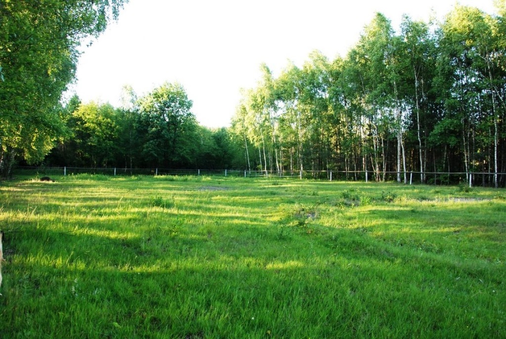 Działka Bojanów, stalowowolski, 2300,00 m²