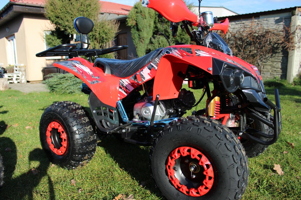 Купить Модель QUAD 125 CC Varia PRO XXL 2020 Халява!!!: отзывы, фото, характеристики в интерне-магазине Aredi.ru