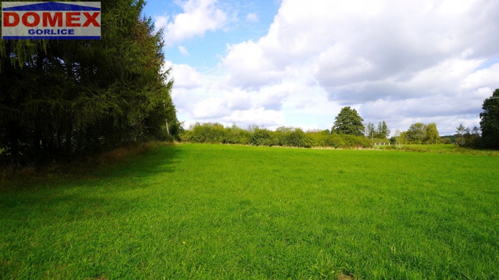 Działka, Kobylanka, Gorlice (gm.), 1634 m²