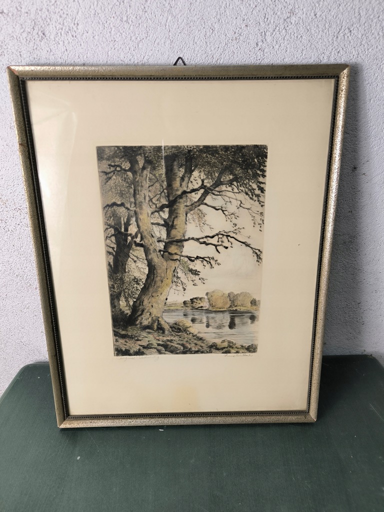 rysunek drzewa las park