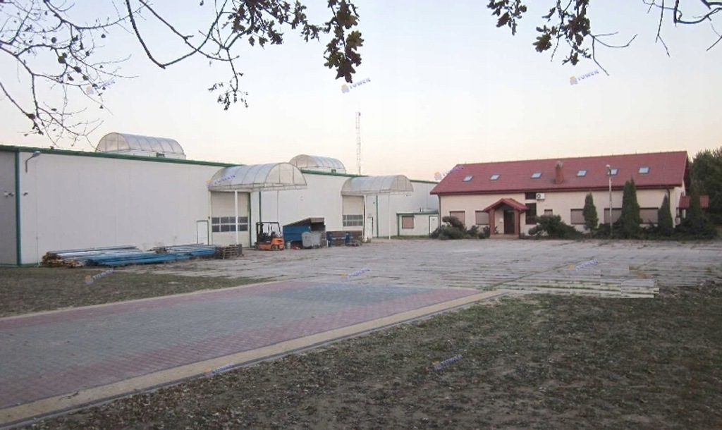 Magazyny i hale, Rajszew, Jabłonna (gm.), 1450 m²