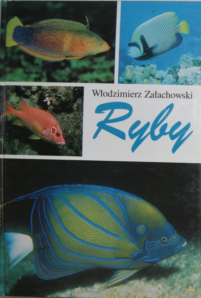 Włodzimierz Załachowski Ryby