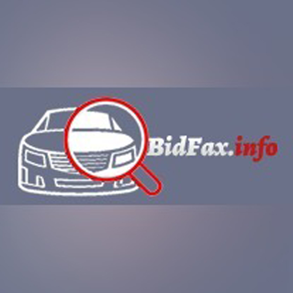 Bidfax.info - usuniecie historii pojazdu, google