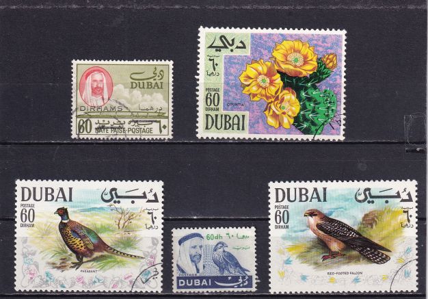 Fauna . 1955 . Dubai . Kasow