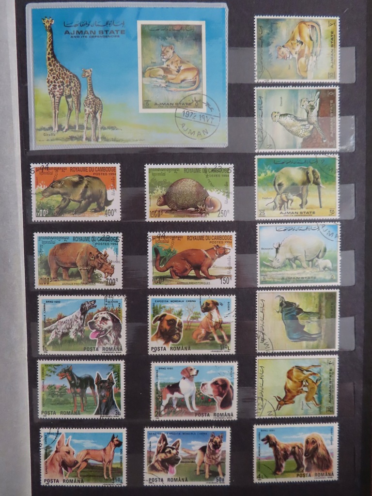 Zestaw znaczków Fauna D4463